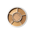 Derma Tones Wheel