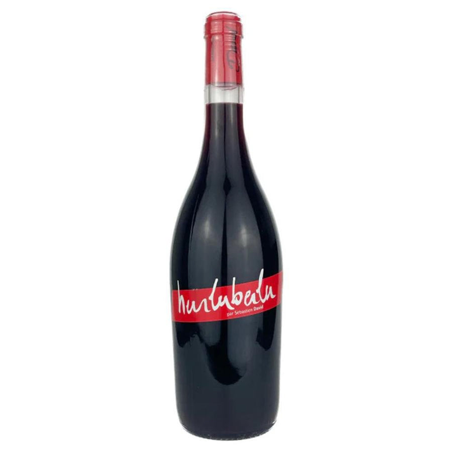 Domaine Sebastien David - 'Hurluberlu' St. Nicolas De Bourgueil Cabernet Franc (750ML)