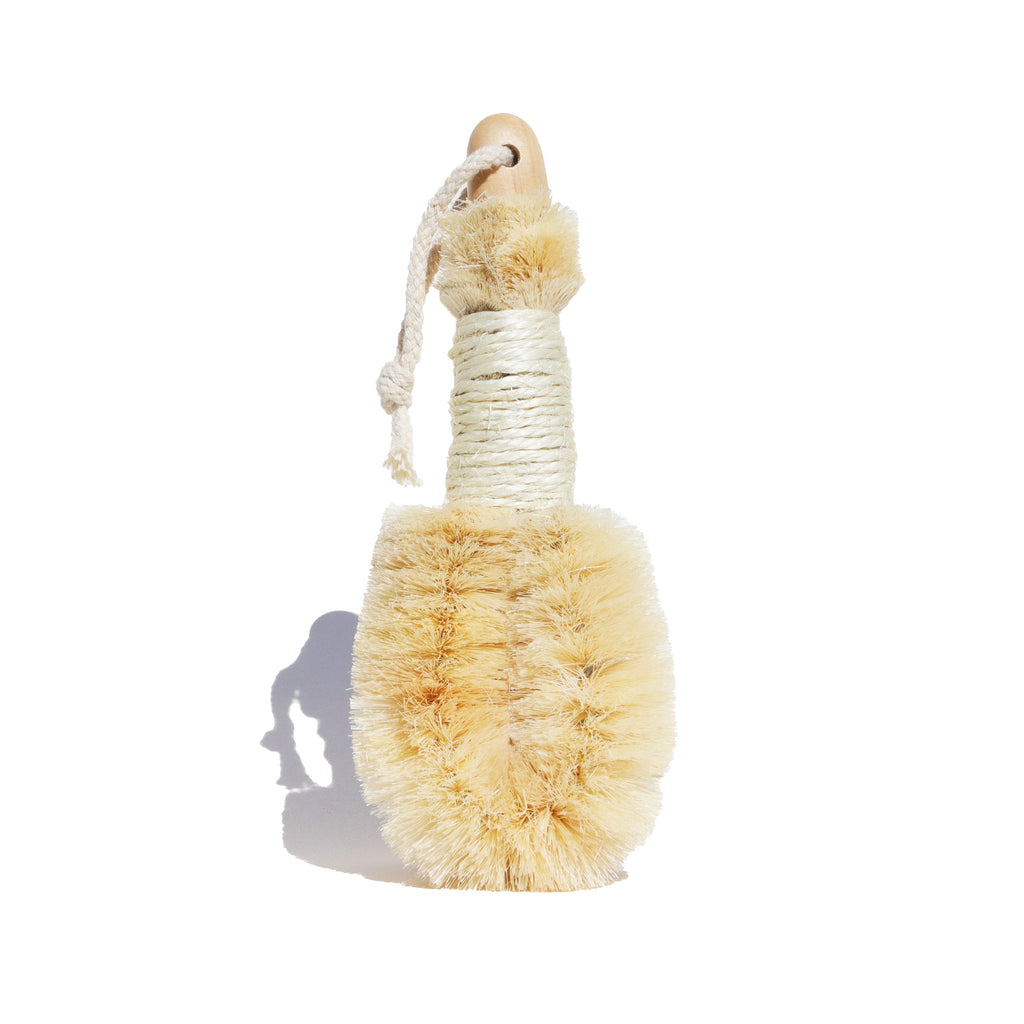 Dry Body Brush