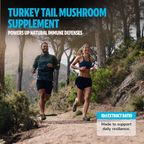 Turkey Tail Mushroom Extract Powder