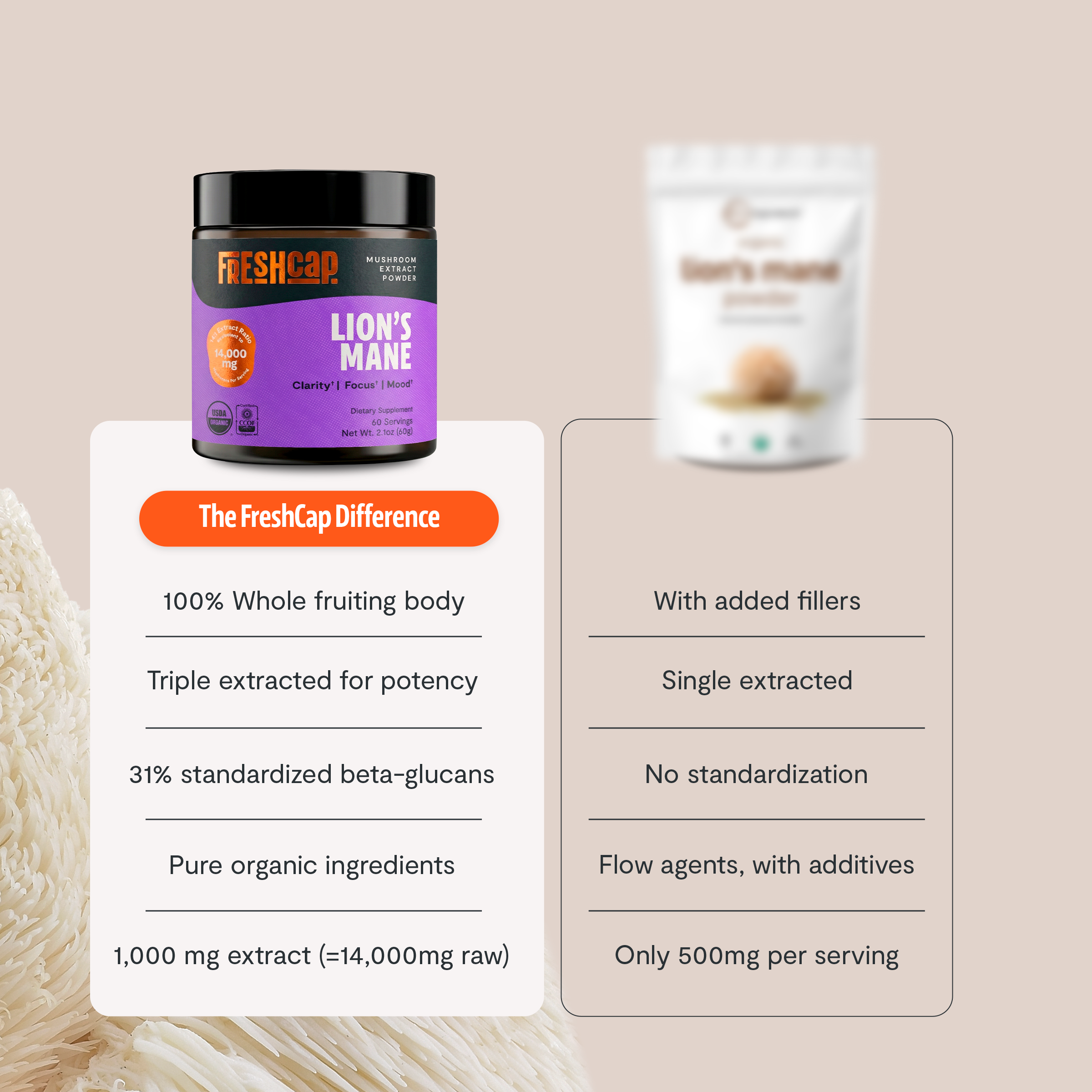 Lion's Mane Mushroom Extract Powder
