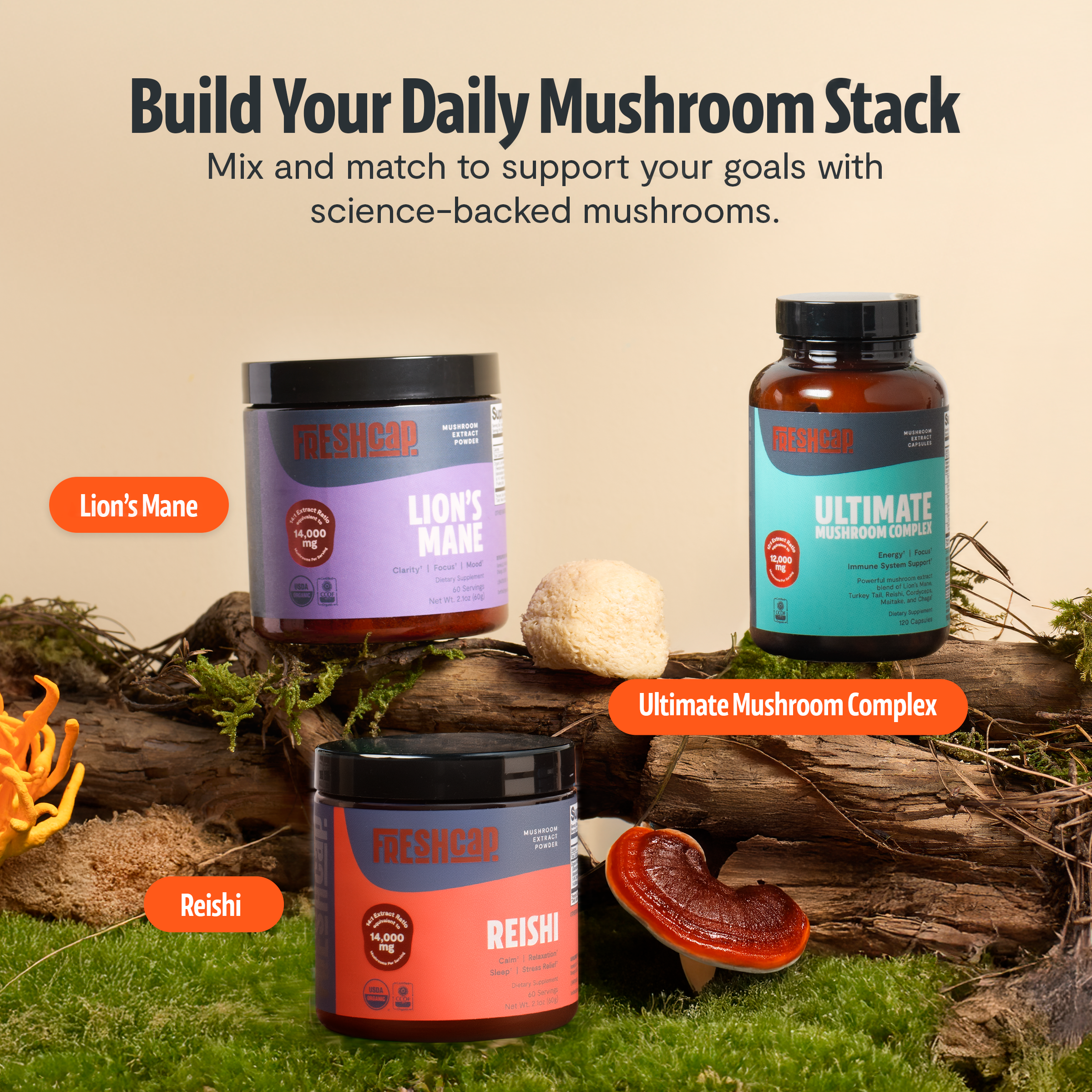 Lion's Mane Mushroom Extract Powder