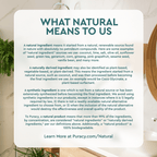 Exfoliating Scalp Shampoo - WONDERWALL