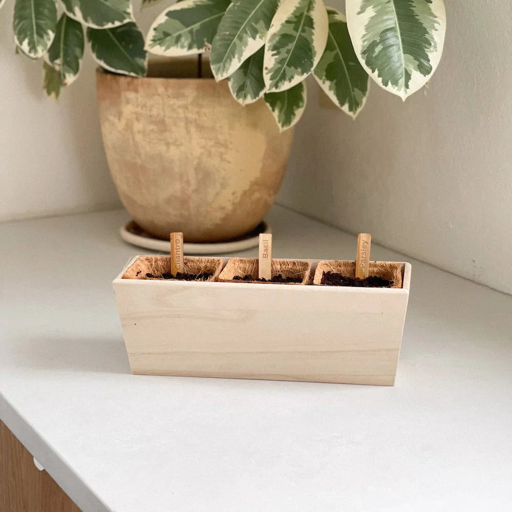 Wooden Herb Planter