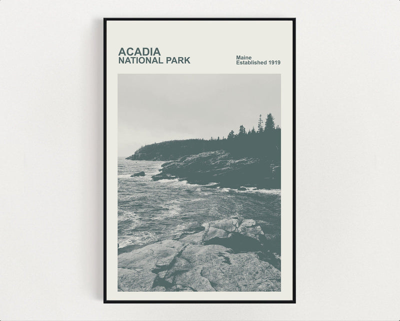 Acadia National Park Print, Monochrome