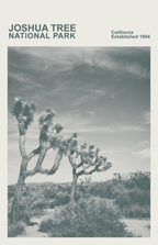 Joshua Tree National Park Print