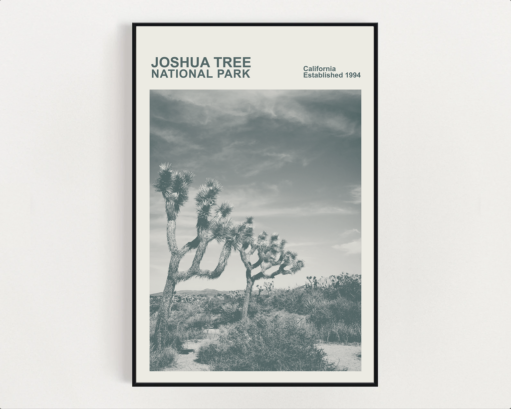 Joshua Tree National Park Print