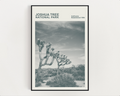 Joshua Tree National Park Print