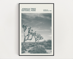 Joshua Tree National Park Print