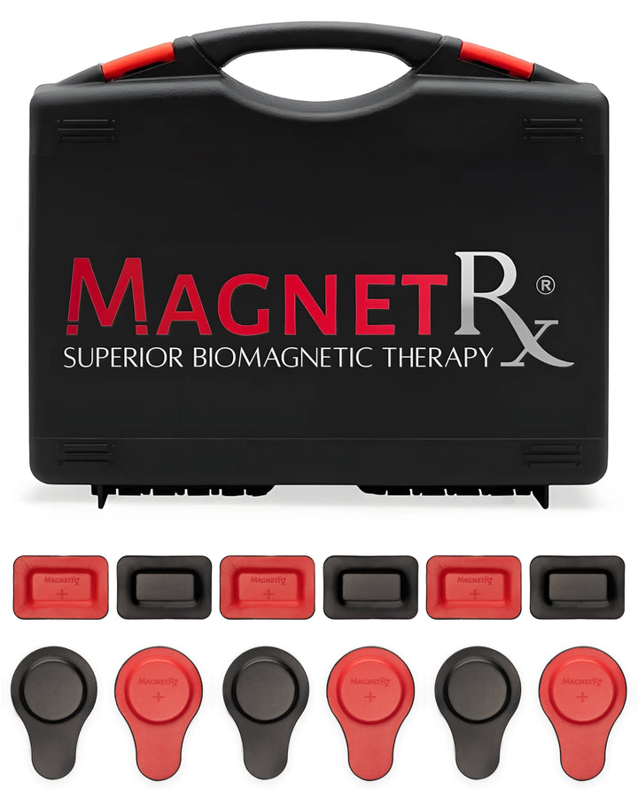 Biomagnetic Therapy Magnet Kit — Ferrite & Leather (12 Mixed Units)