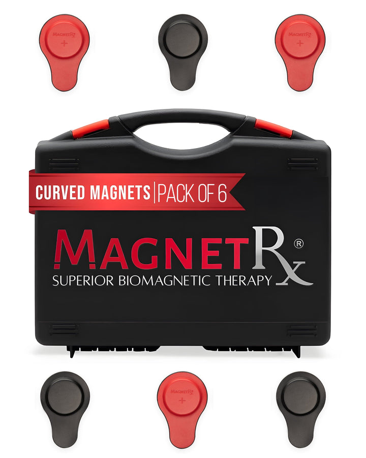 Biomagnetic Therapy Magnet Kit — Ferrite & Leather (6 Large Magnets)