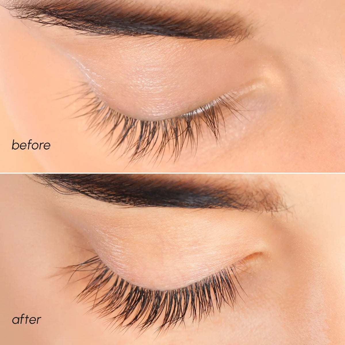 Lash & Brow Growth Serum - WONDERWALL