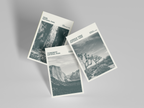 Joshua Tree National Park Print