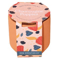 Modern Sprout - 'Champagne Poppies' Terracotta Seed Sprouting Kit
