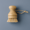 Regular Bristles
