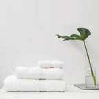 Organic Cotton White Hand Towel