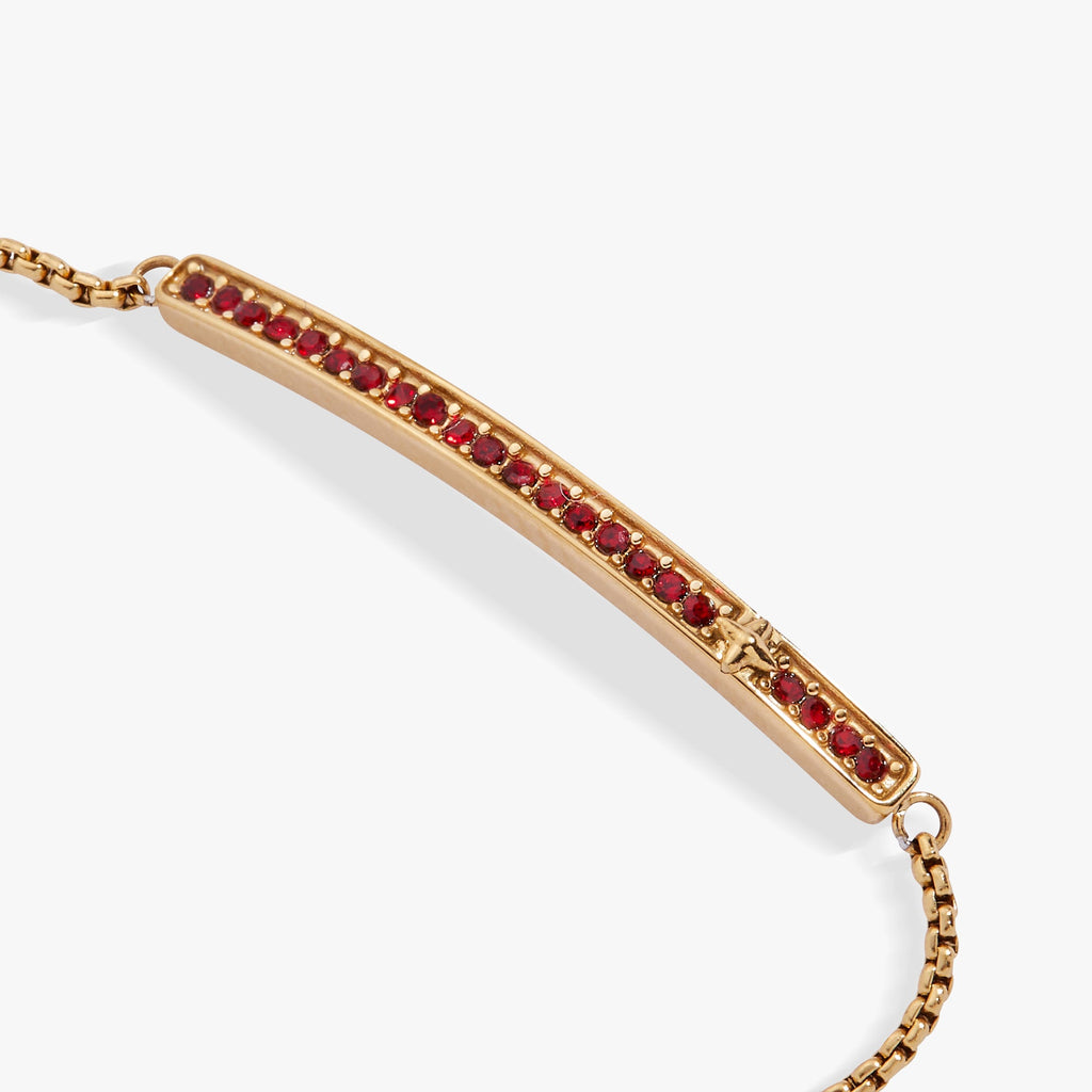 January Everyday Birthstone Pave Bolo Bracelet