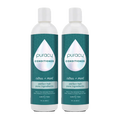 Conditioner (Silicone/Dimethicone/Sulfate Free) - WONDERWALL