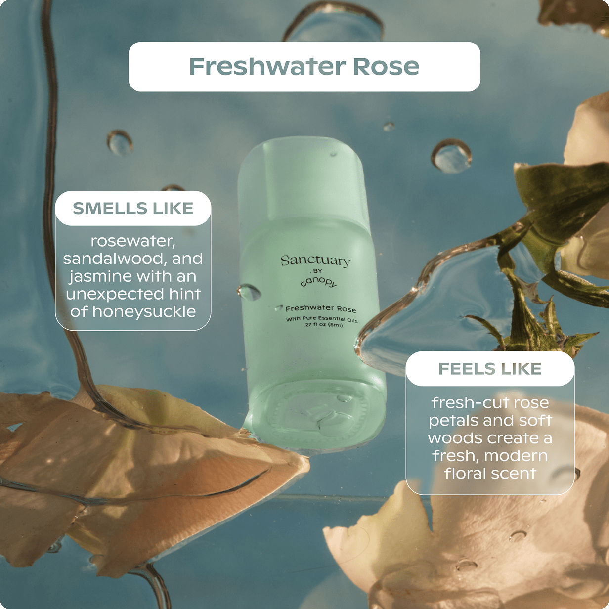 Sanctuary Aroma Kit