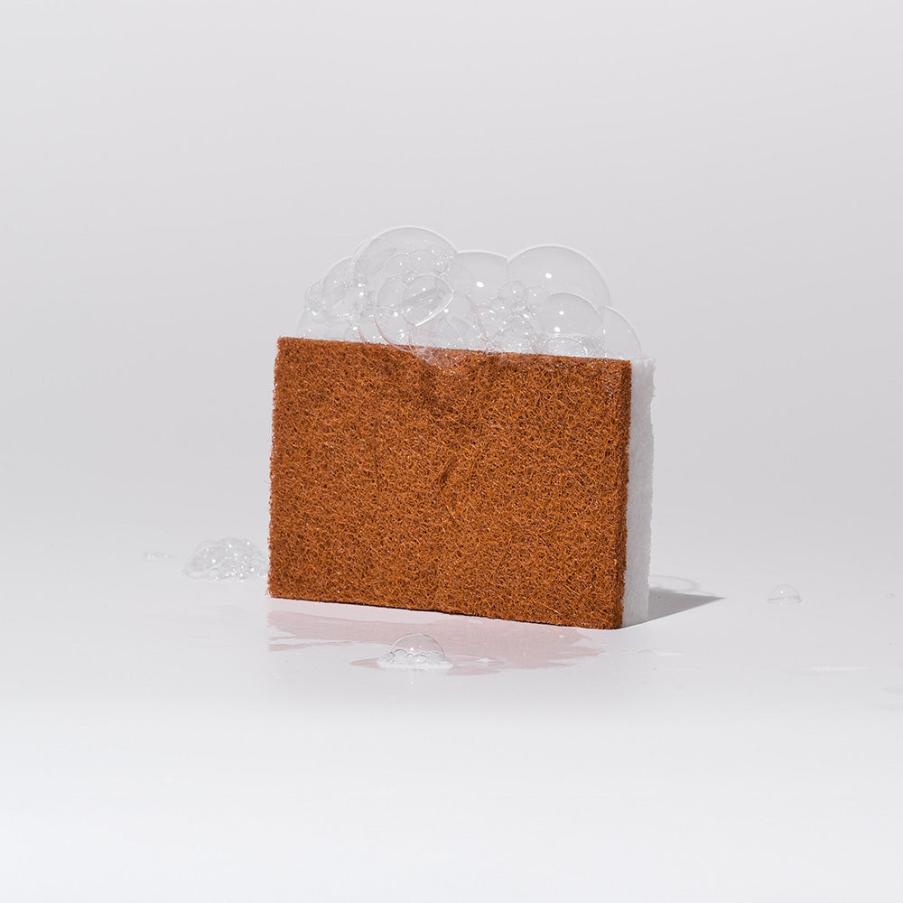 Scrubber Sponges