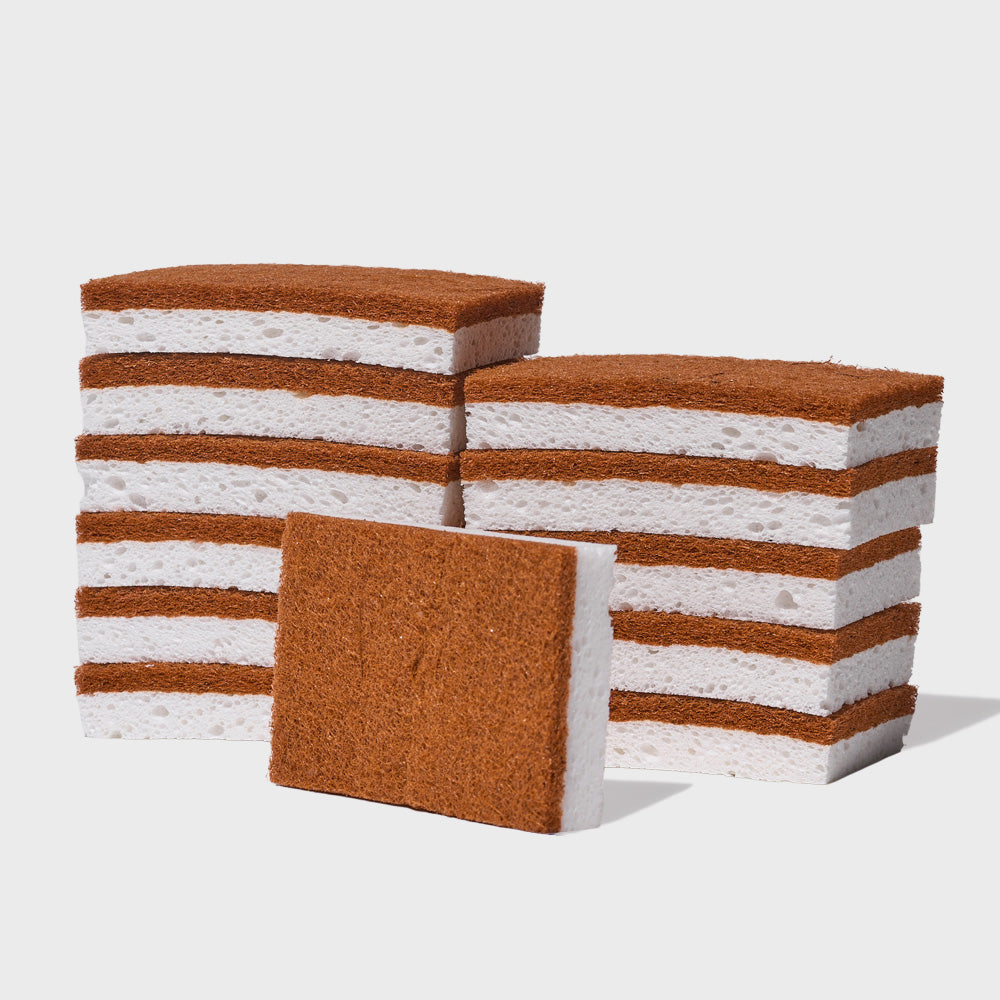 Scrubber Sponges