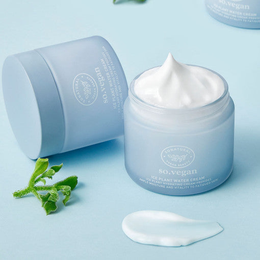 so natural So Vegan Ice Plant Water Cream 70ml