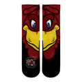 South Carolina Gamecocks - Mascot Crew Socks