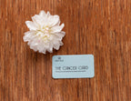 The Balm Box Chemo Essentials Gift Bundle - Wholesale - WONDERWALL