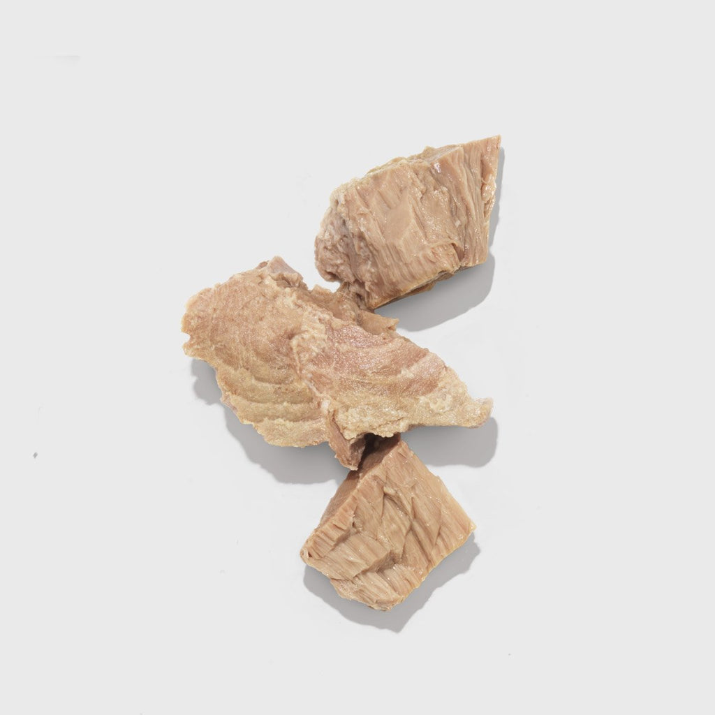 Wild-Caught Skipjack Tuna Fish Can