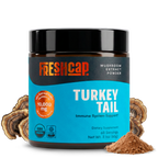 Turkey Tail Mushroom Extract Powder