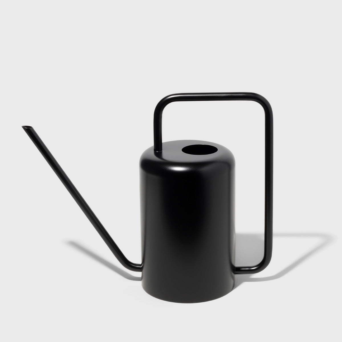 Stainless Steel Watering Can