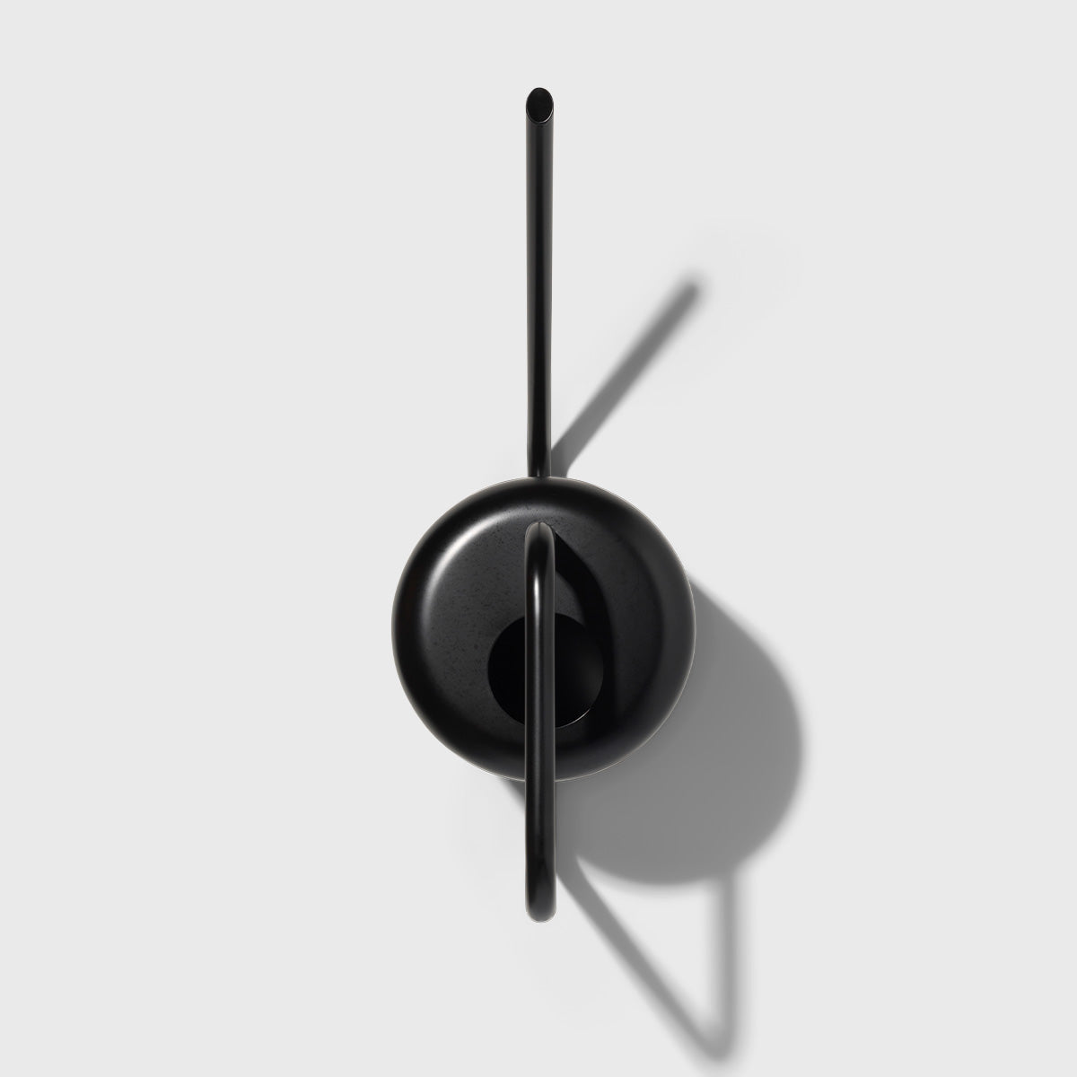 Stainless Steel Watering Can