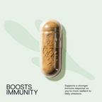 Daily Probiotic Refill Packs - WONDERWALL