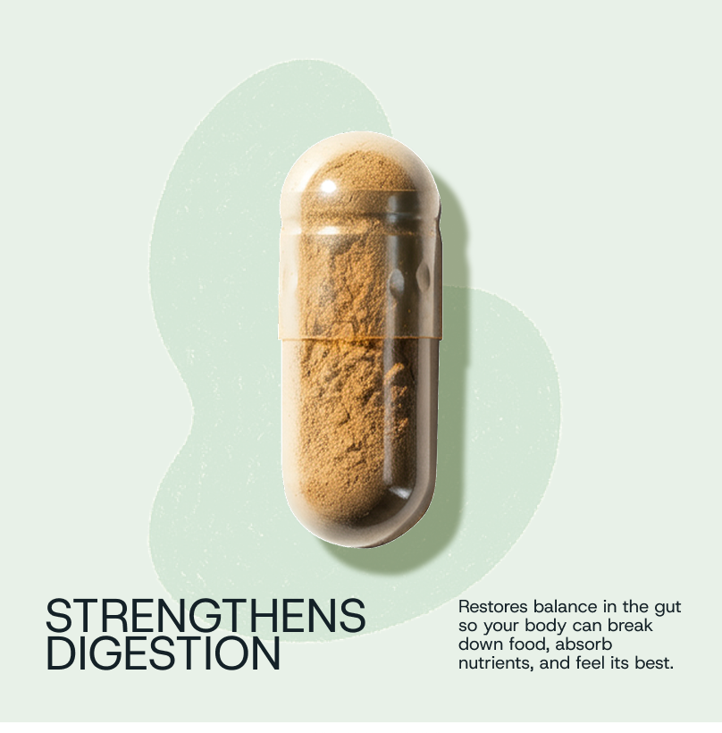 Daily Probiotic Refill Packs - WONDERWALL