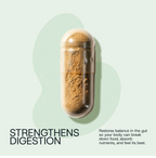 Daily Probiotic Refill Packs - WONDERWALL