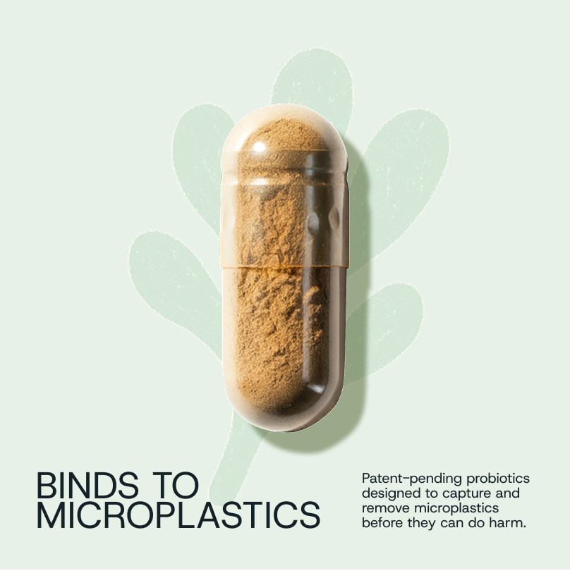 Daily Probiotic Refill Packs - WONDERWALL