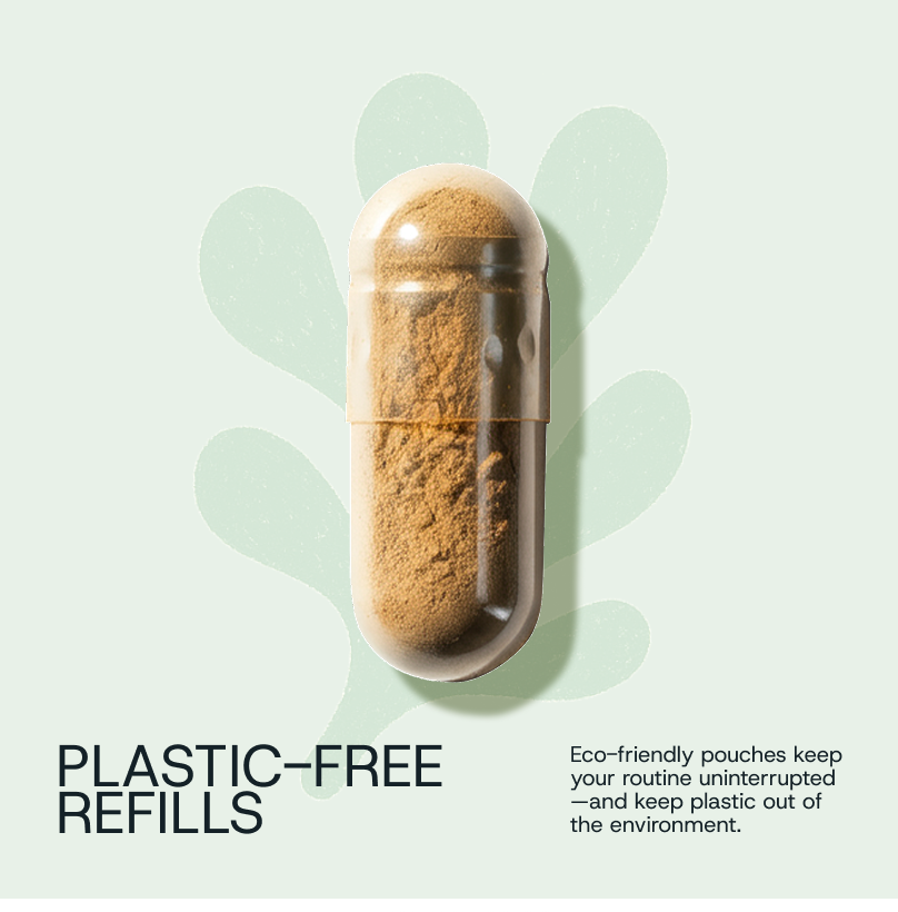 Daily Probiotic Refill Packs - WONDERWALL